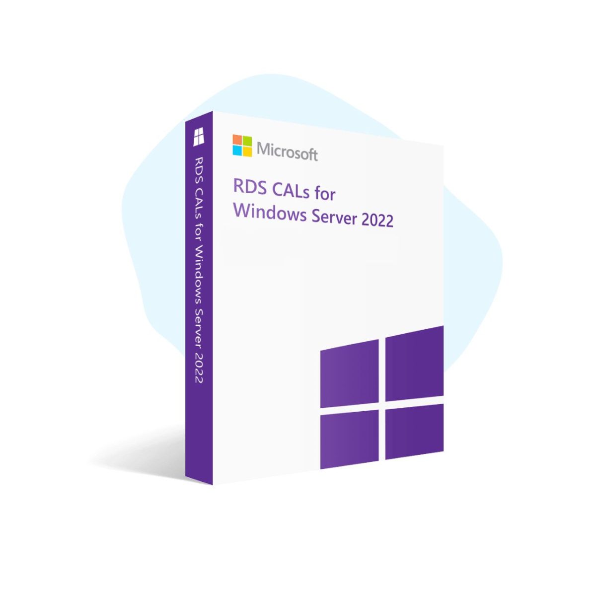 Windows Server 2022 RDS User CAL License