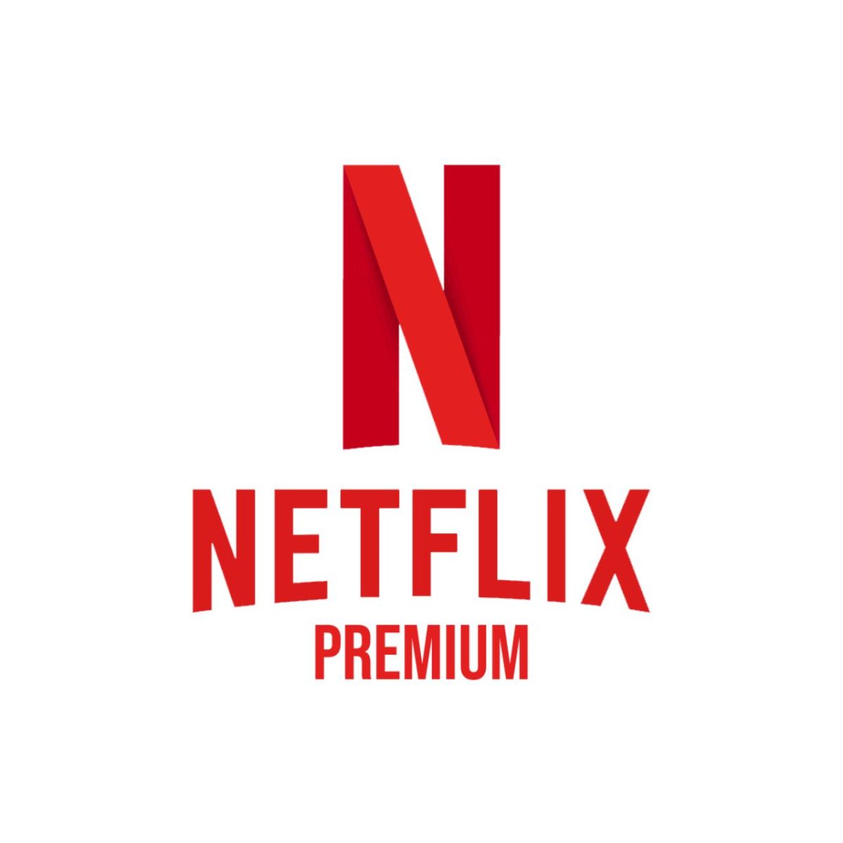 Netflix Premium Subscription