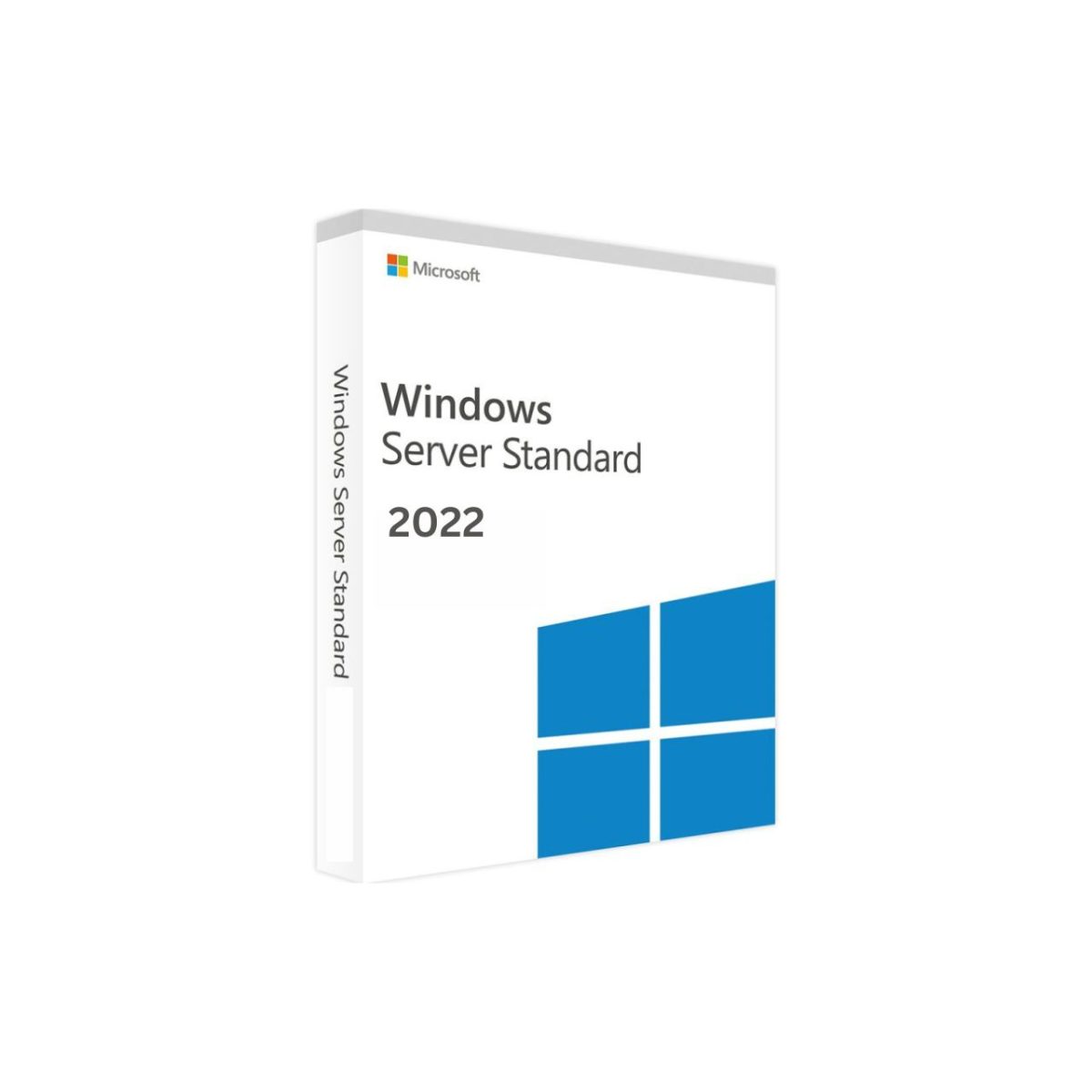 Windows Server Standard 2022 License